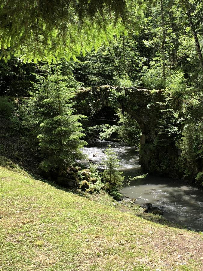 Le Moulin Des Olirics Villa Sallanches Eksteriør billede
